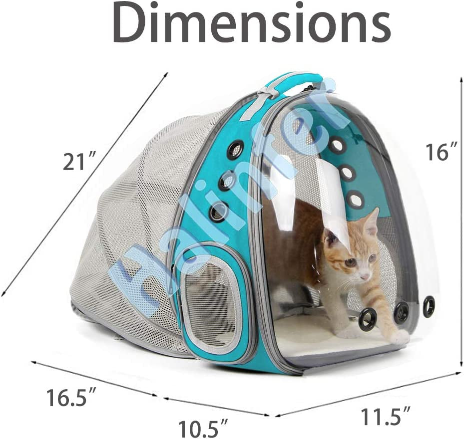 Cat Travel Backpack space capsule design