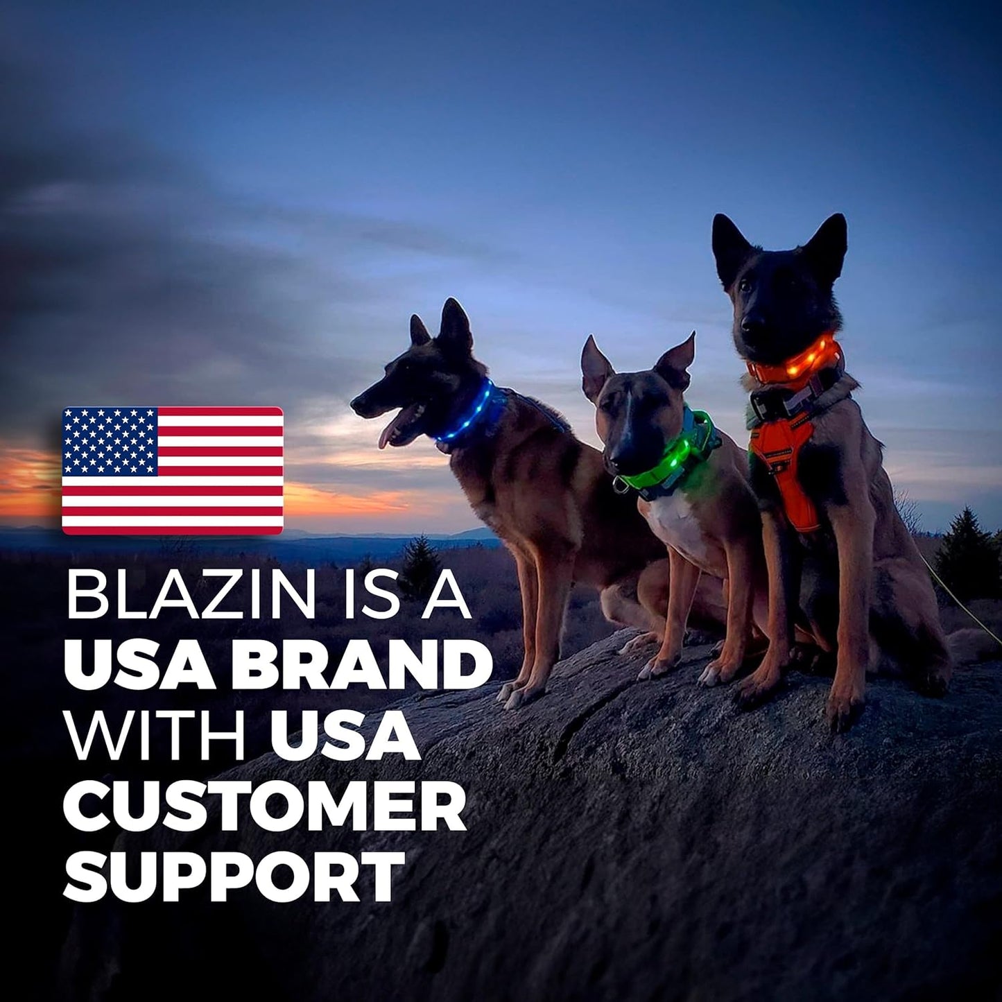 LED Dog Collar USB rechargeable light