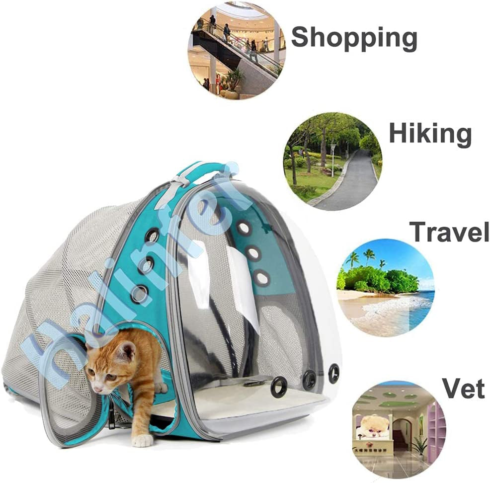 Cat Travel Backpack space capsule design