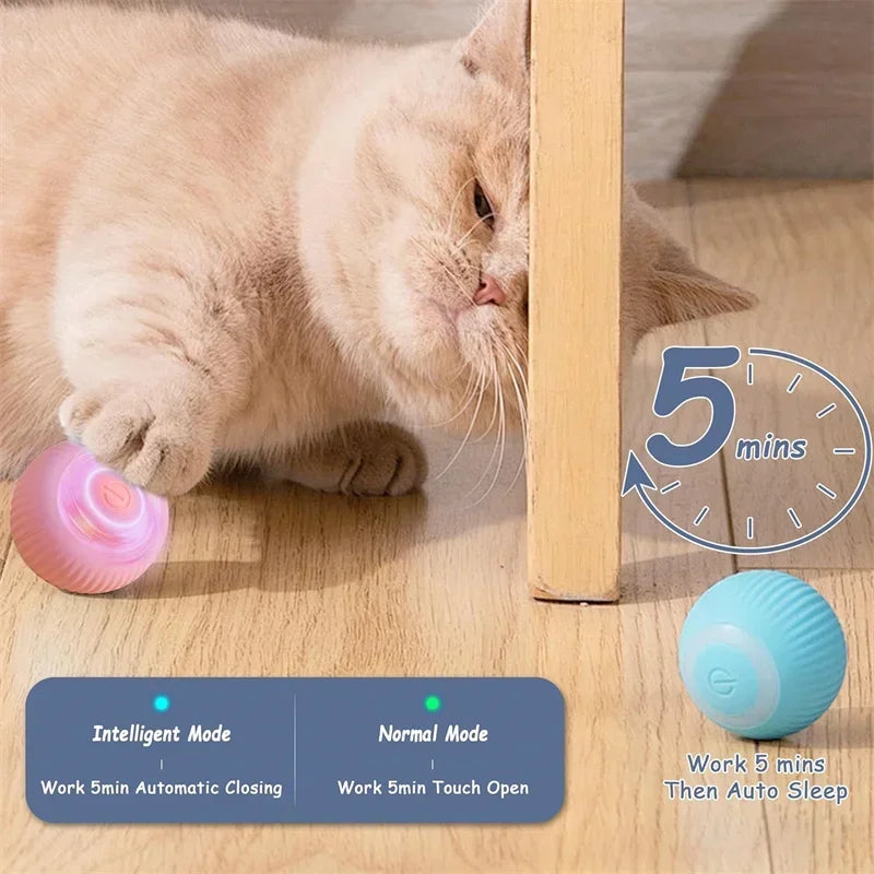 Cat Interactive Ball Toy electric smart rolling toy 3