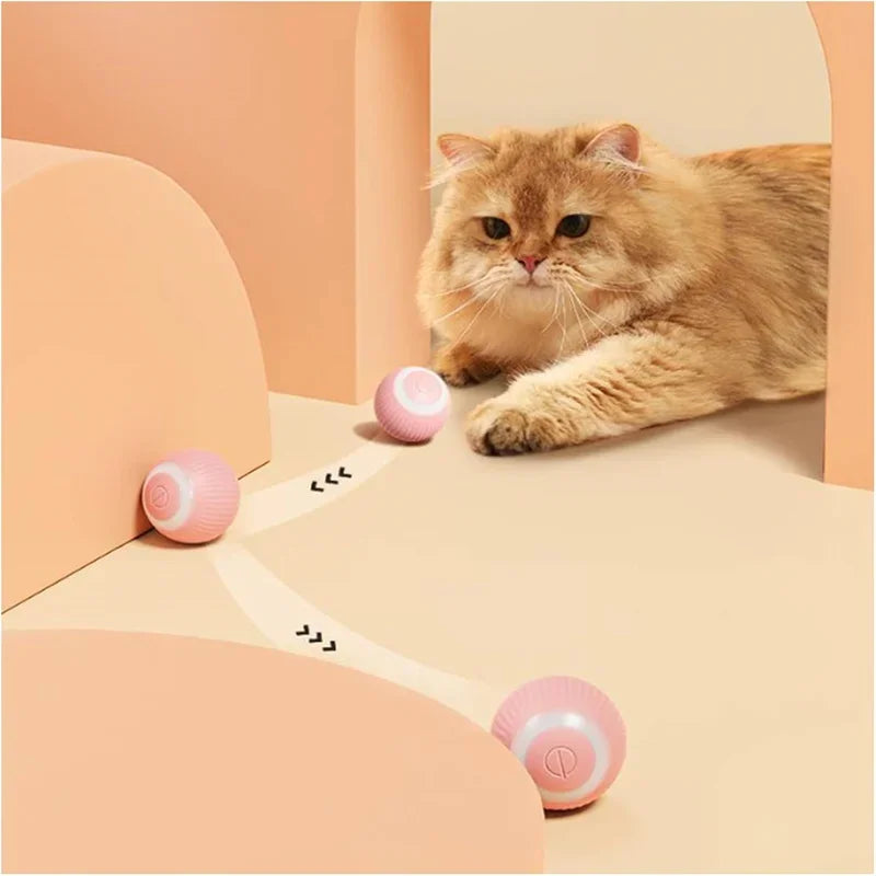 Cat Interactive Ball Toy electric smart rolling toy 2