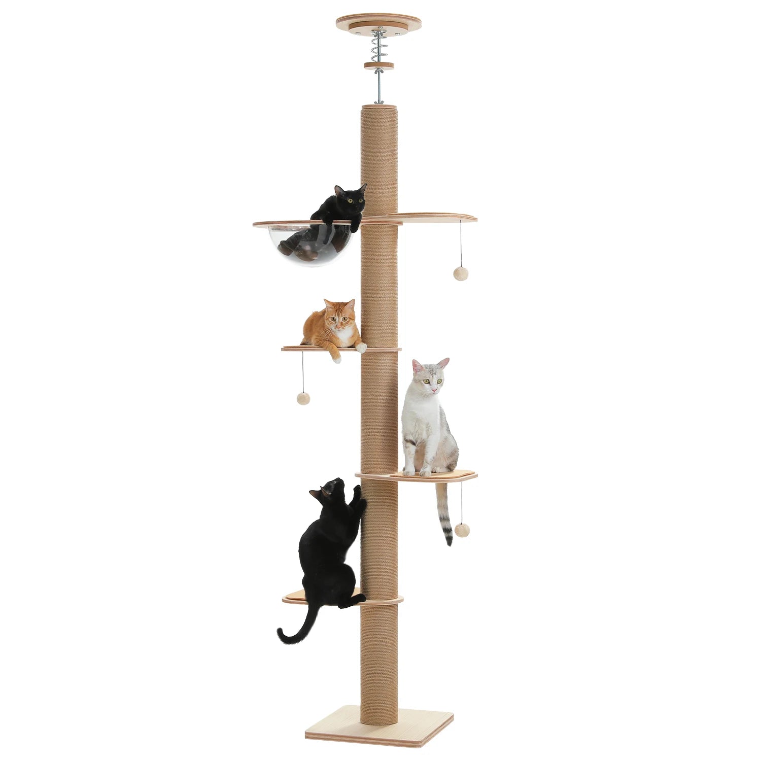 Floor to Ceiling Cat Tree in living room for indoor cats 8
