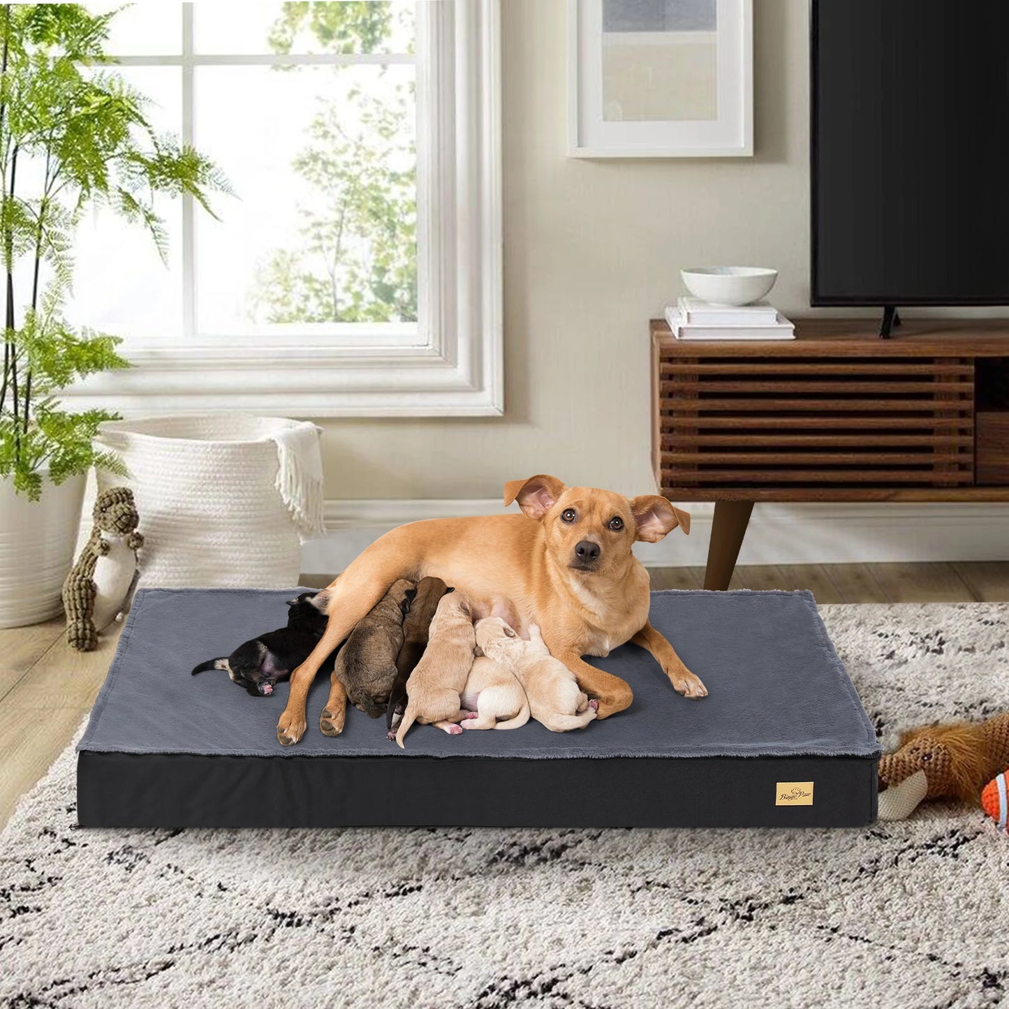 Orthopedic Memory Foam Dog Bed for Joint Pain Relief