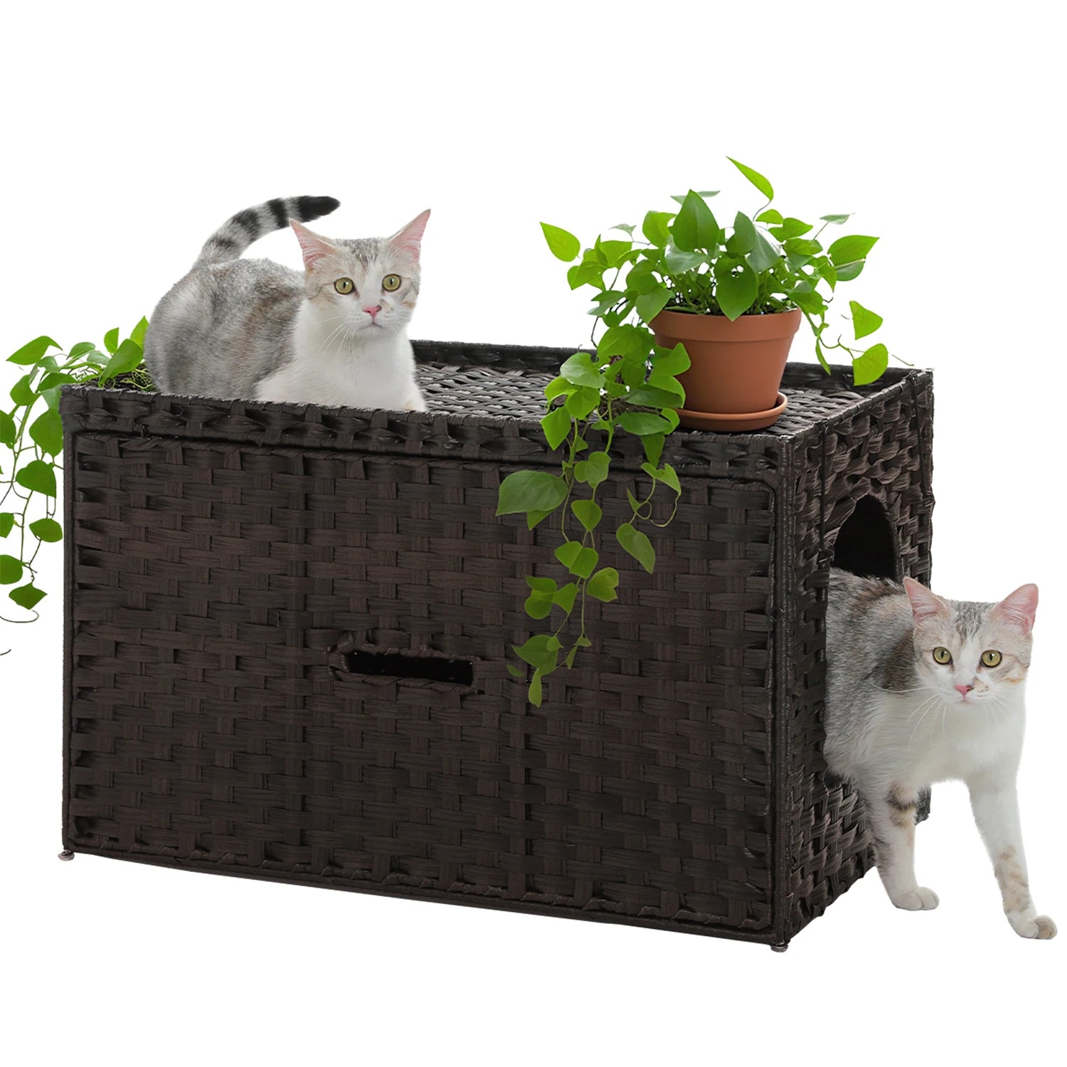Rattan Cat Litter Box Enclosure in living room 0