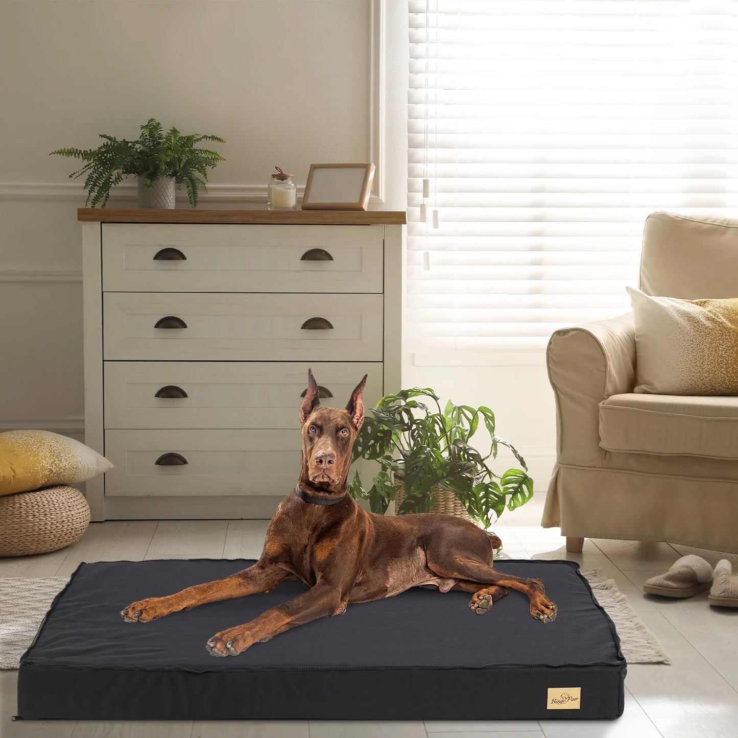 Orthopedic Memory Foam Dog Bed for Joint Pain Relief