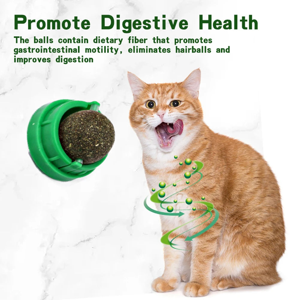 catnip ball self-adhesive wall toy 3