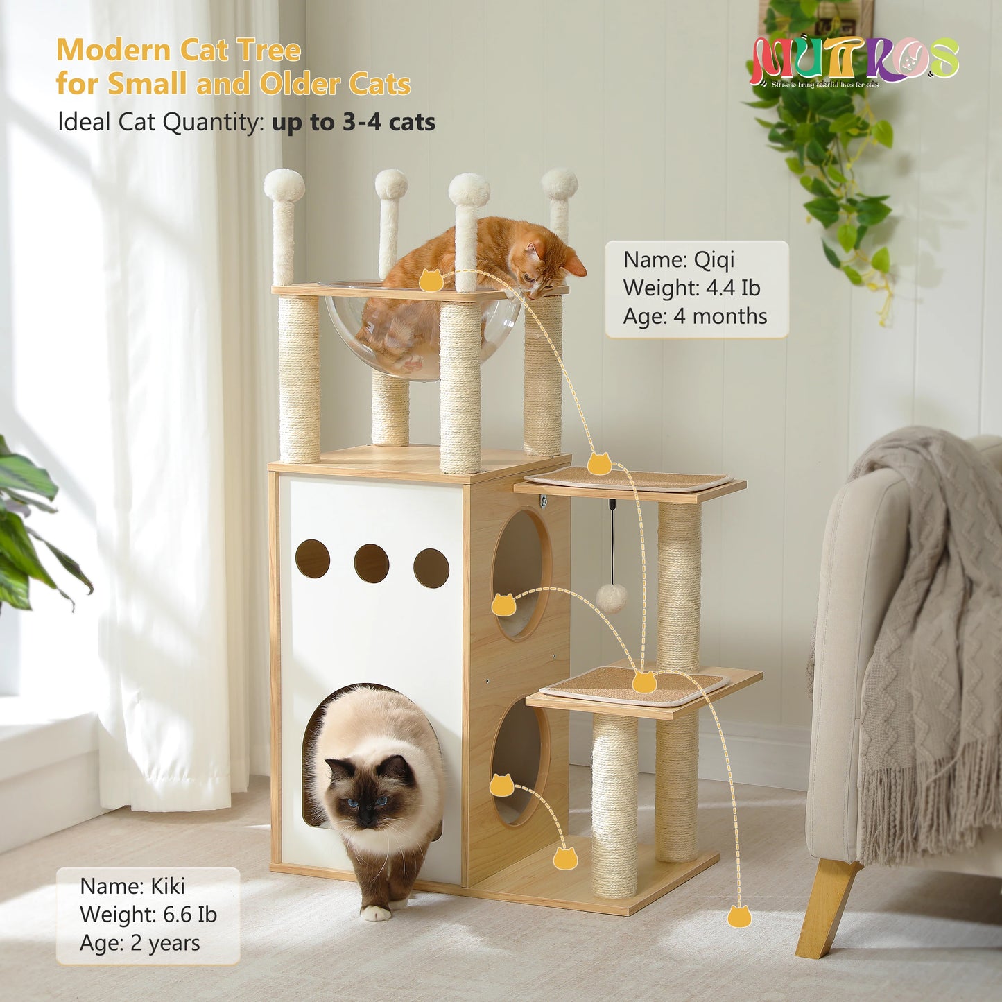 Modern Cat Tree tower with 2-floor condo 6