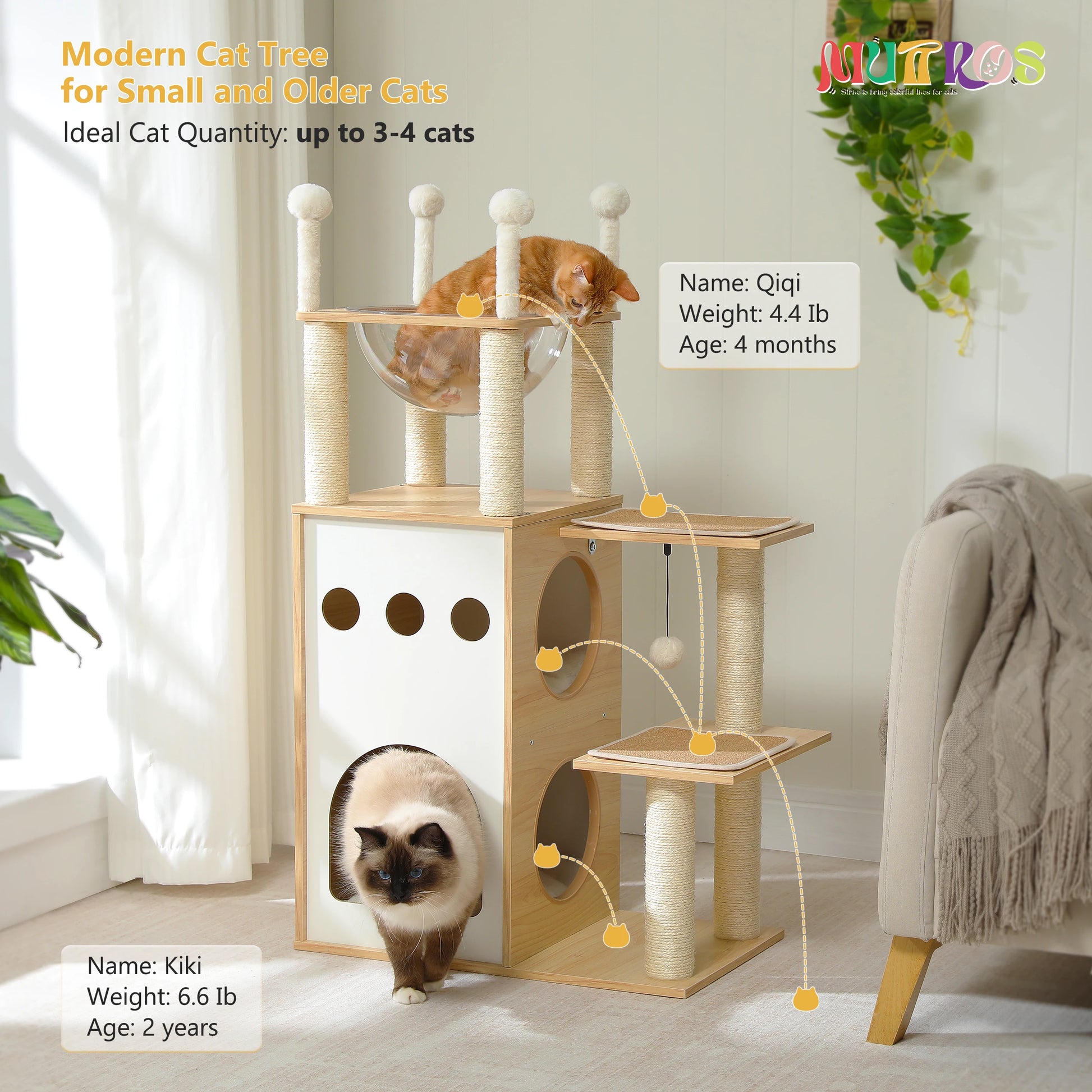 Modern Cat Tree tower with 2-floor condo 6