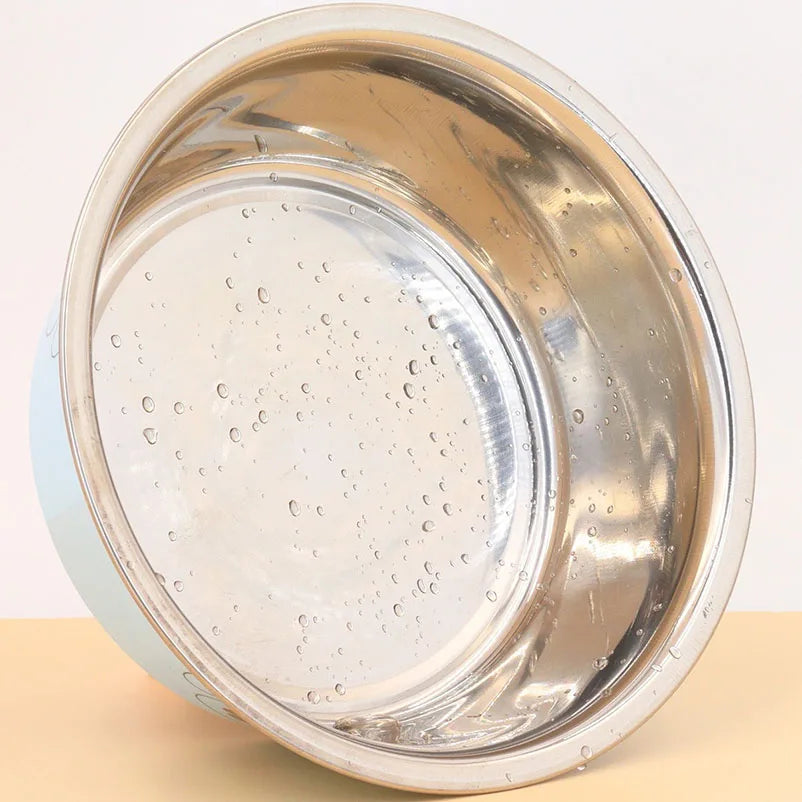 Stainless Steel Footprint Dog Bowl for cats and dogs 4