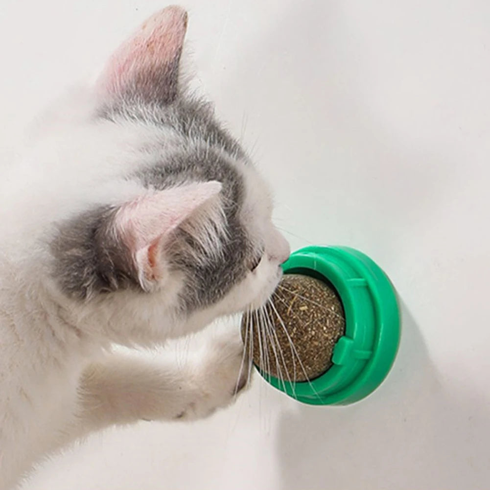 catnip ball self-adhesive wall toy 2