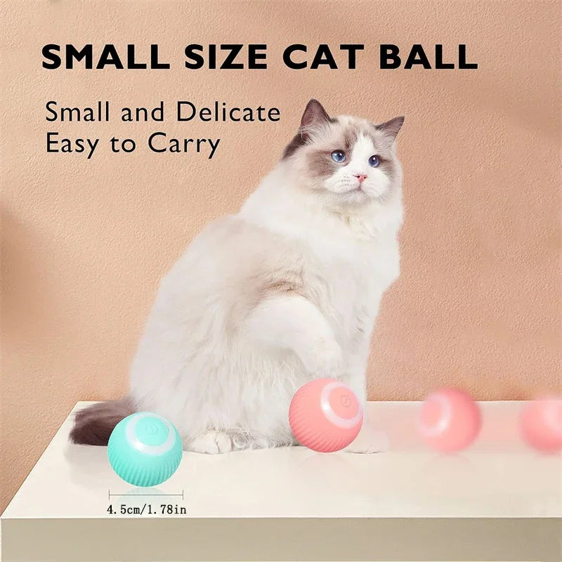 Cat Interactive Ball Toy electric smart rolling toy 5