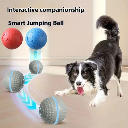 Smart Dog Toy Ball rolling on floor