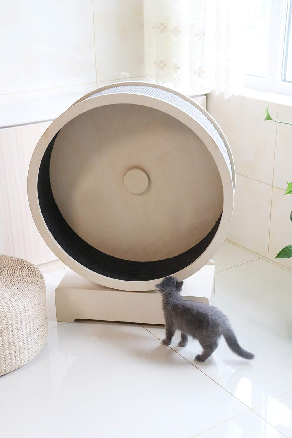 Cat Exercise Wheel for indoor cat fitness 2