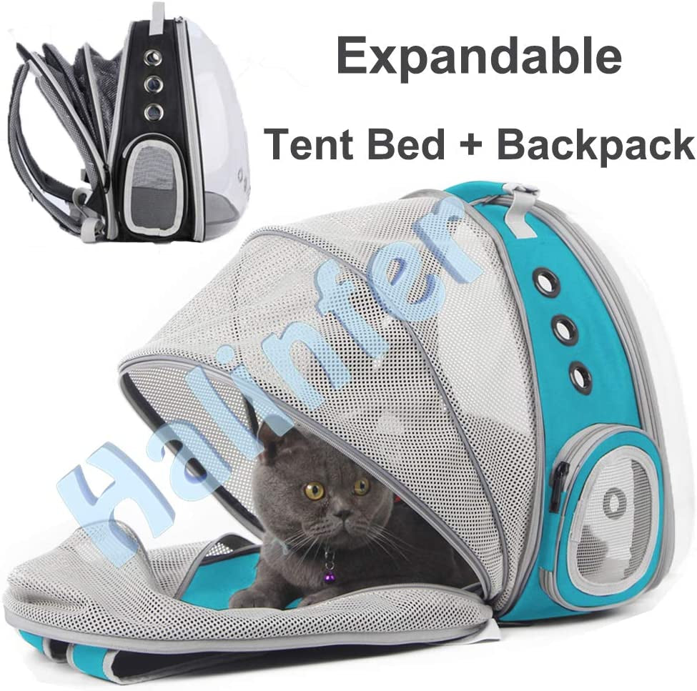 Cat Travel Backpack space capsule design
